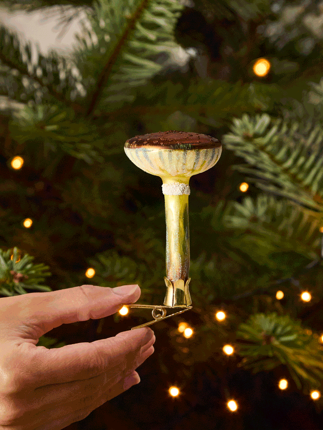 Mushroom Hand-Blown Glass Clip-On Tree Decorations (Set of 8)