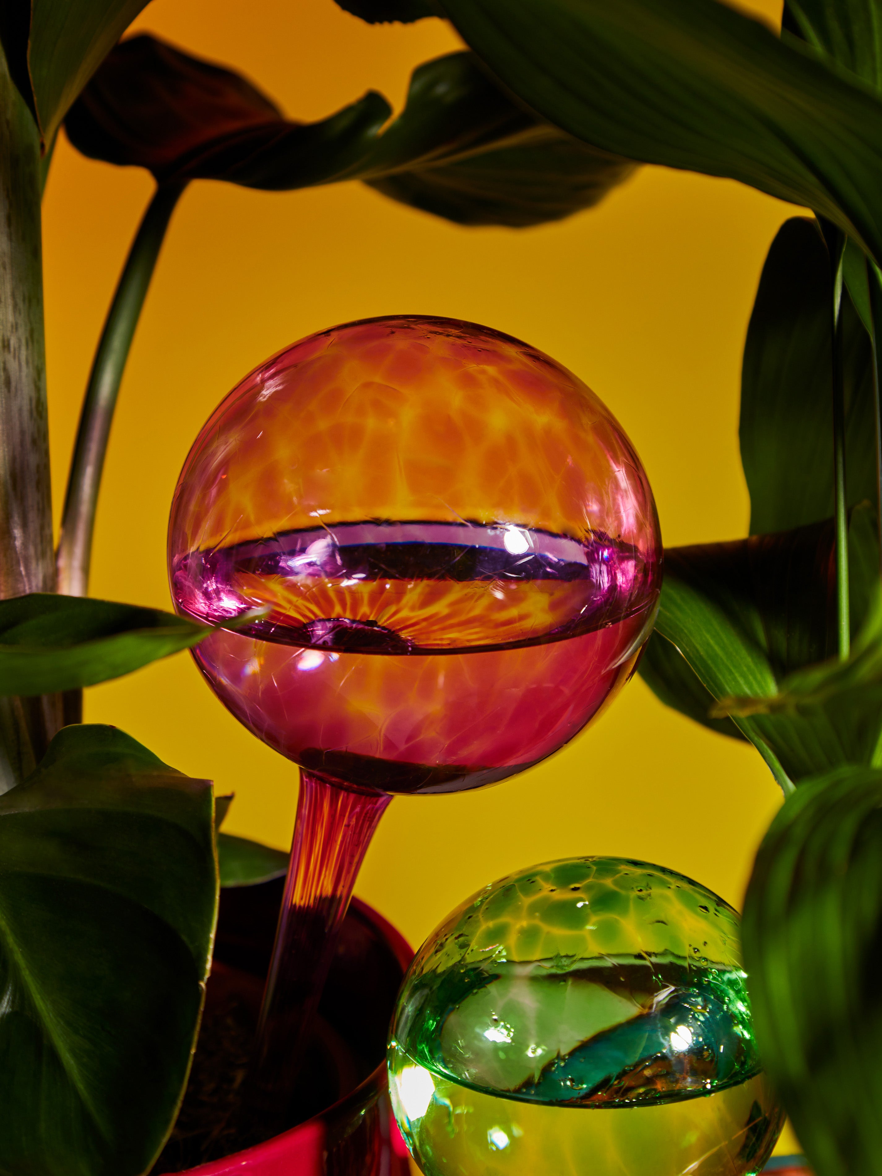 Using Diffusing Globes Pink Hand-Blown Crystal Water-Diffusing Globes (Set of 2) by Dab'O ...