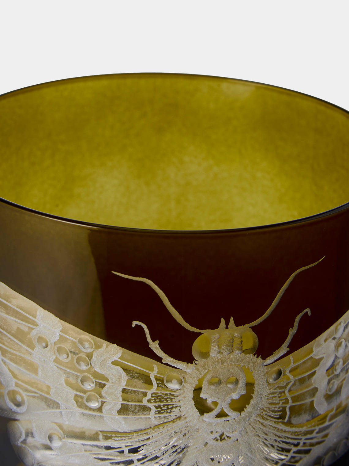 Artel - Cabinet of Curiosities Hand-Engraved Crystal Double Old Fashioned Tumbler - Green - ABASK