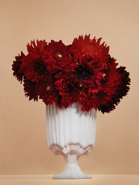 Astier de Villatte - Rocaille Hand-Glazed Ceramic Vase - White - ABASK