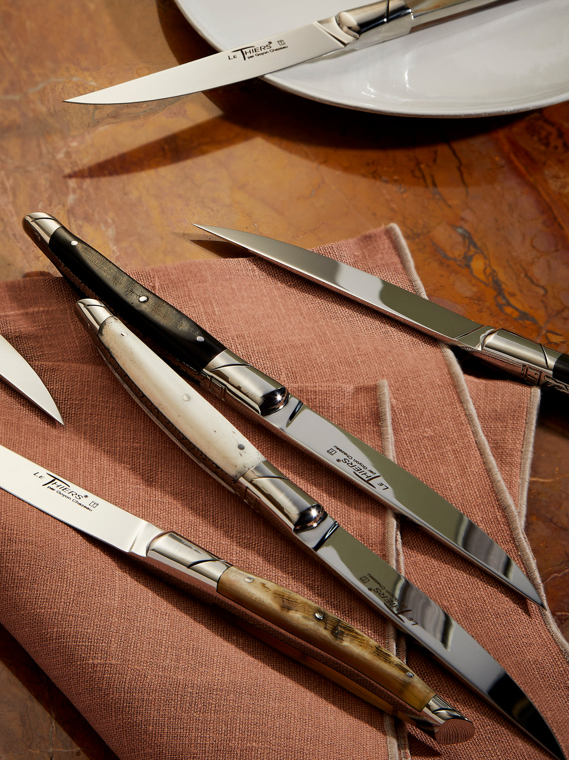 Goyon-Chazeau - Le Thiers Prestige Mixed Horn Table Knives (Set of 6) - Multiple - ABASK