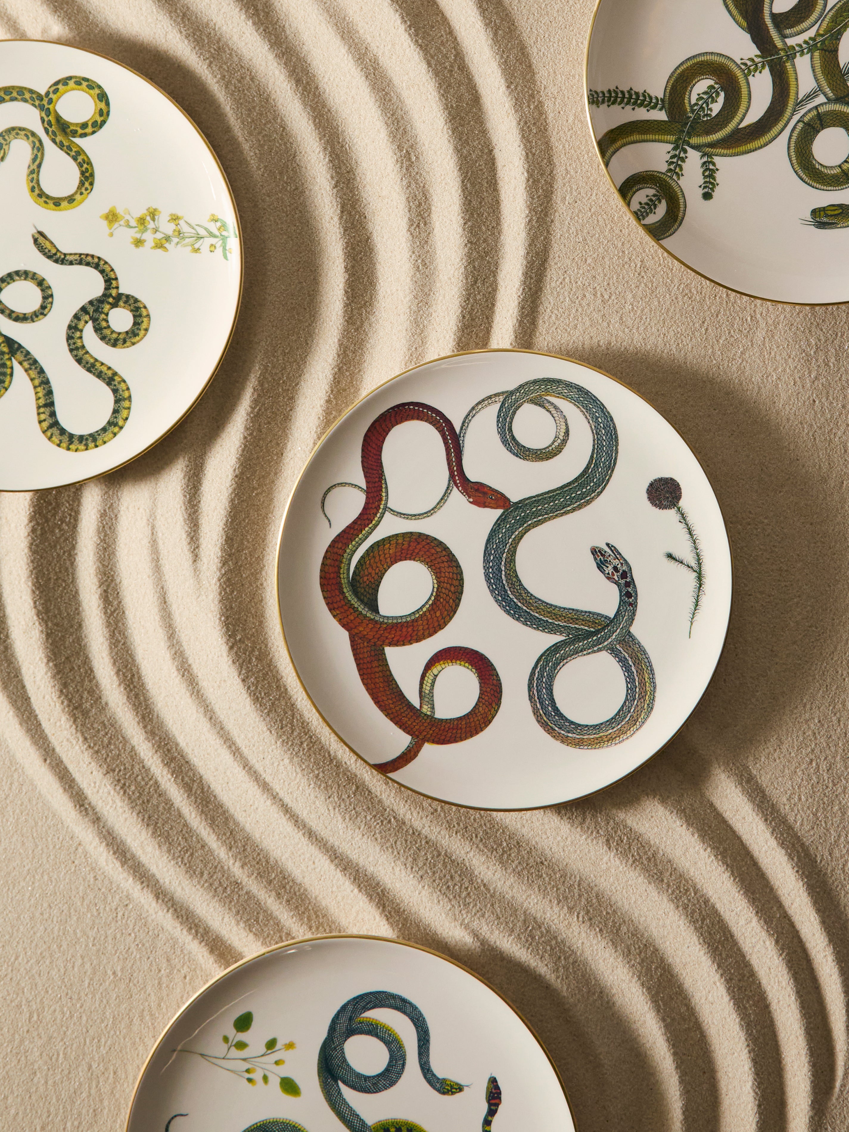 Multiple Serpi Ceramic Dinner Plates (Set of 6) by Laboratorio ...