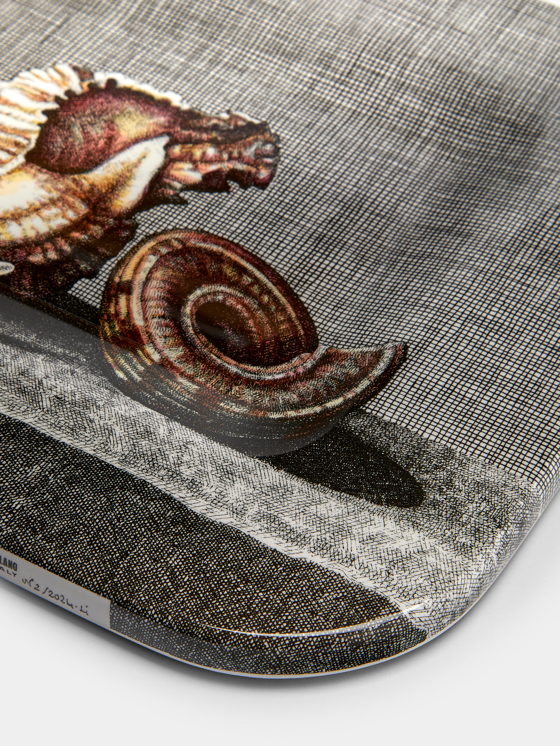 Fornasetti - Conchiglie Wood Tray - Multiple - ABASK