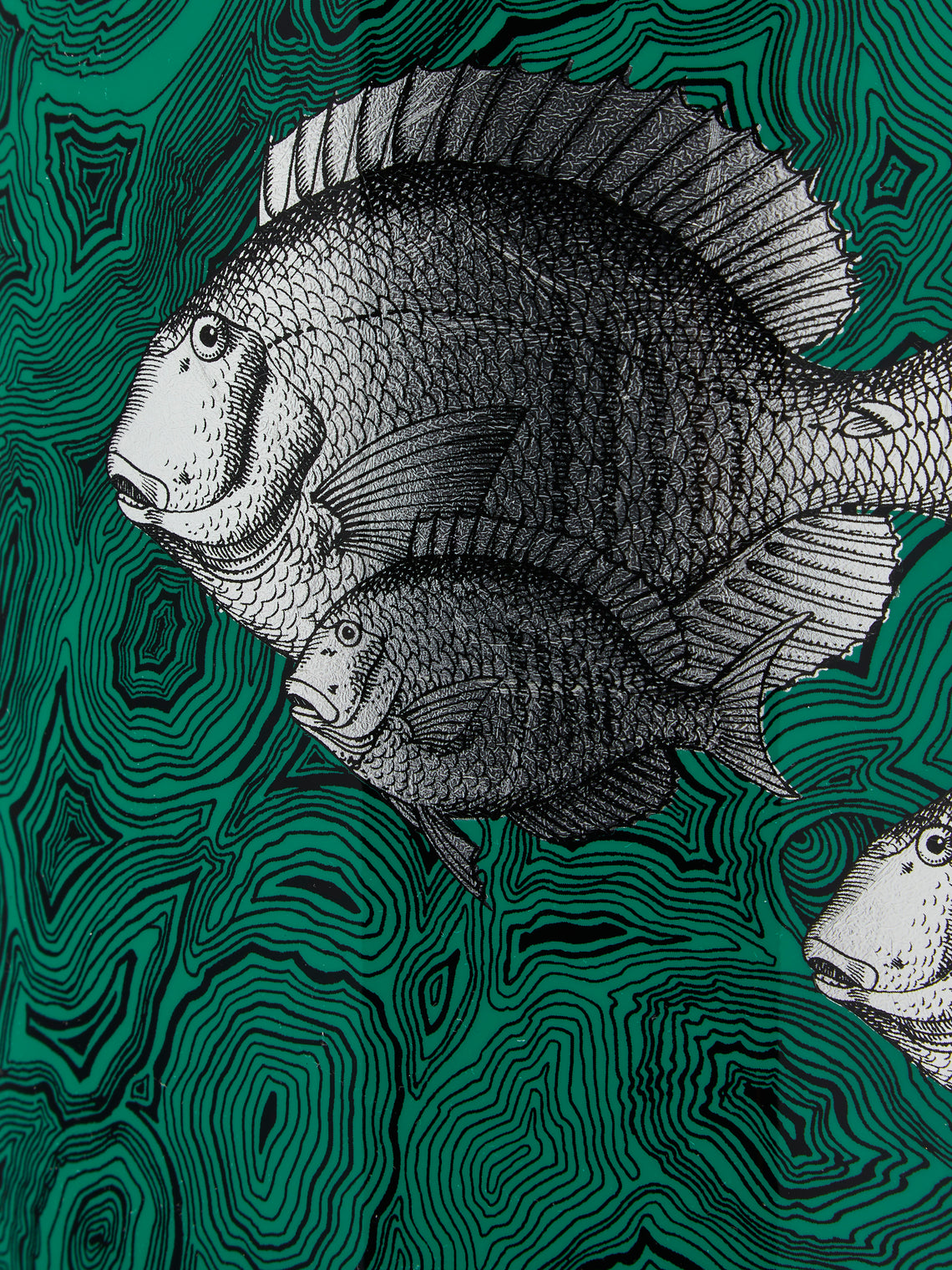 Fornasetti - Pesci Iron Wastepaper Bin - Green - ABASK