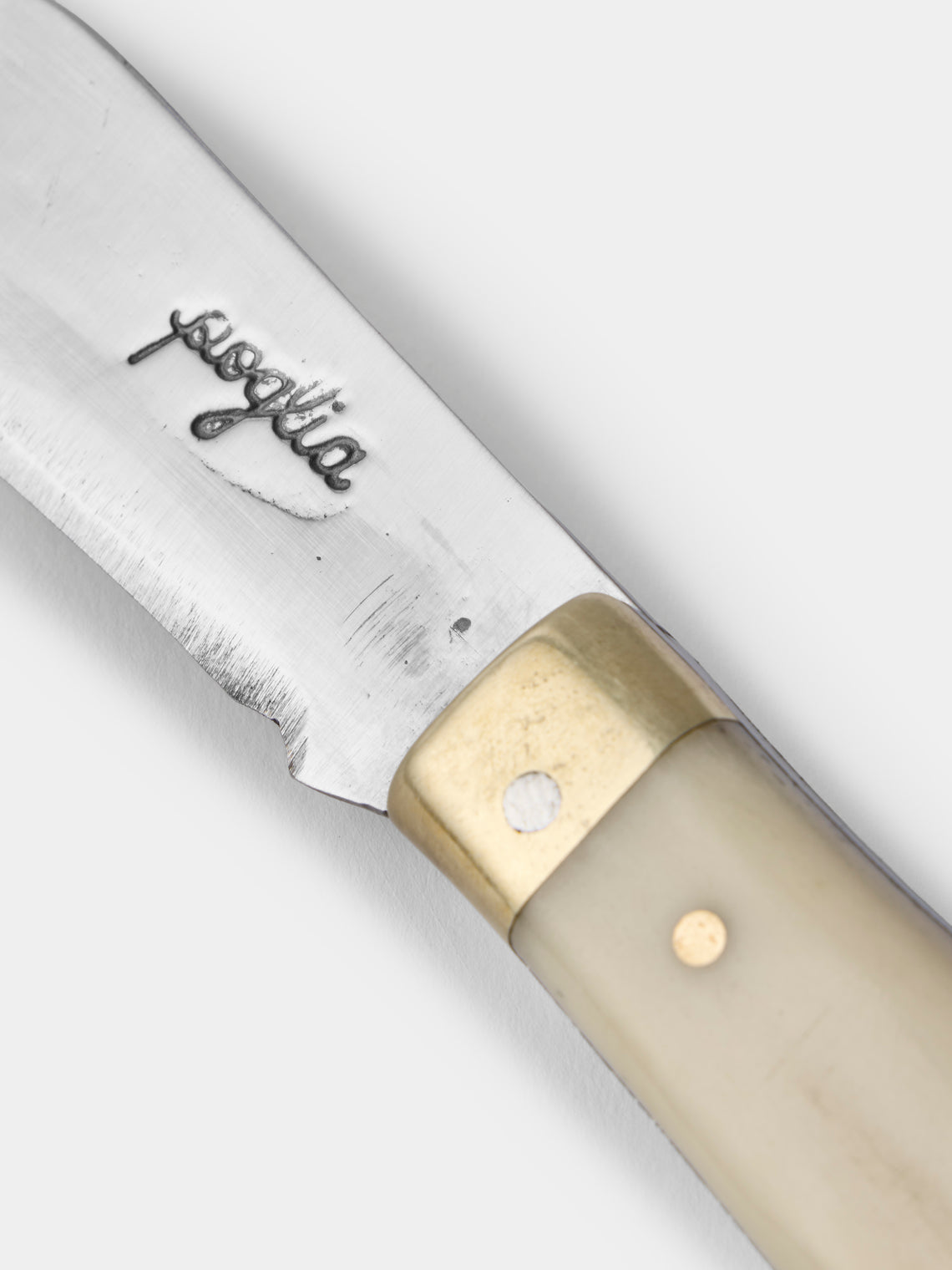 Poglia - Bone and Brass Pocket Knife - White - ABASK