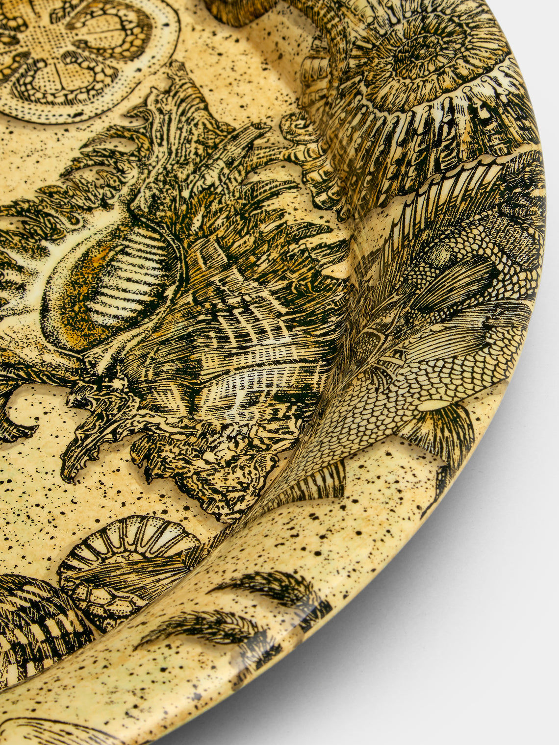 Fornasetti - Fossili Wood Round Tray - Multiple - ABASK