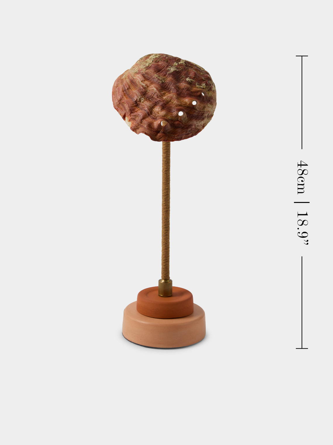 Tennant New York - Lawyer's Abalone Shell and Concrete Table Lamp - Orange - ABASK
