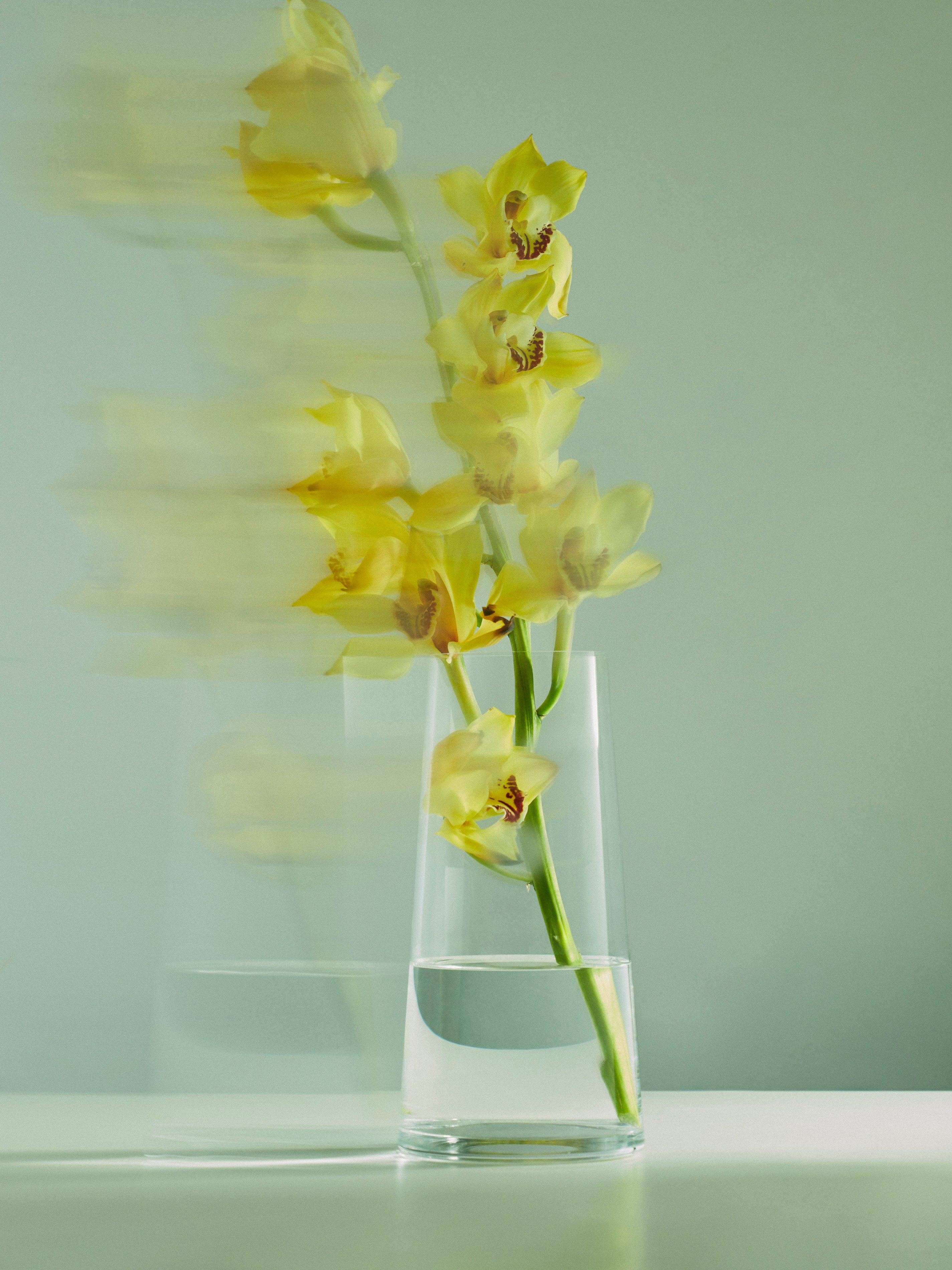 Hand-Blown Crystal Queen Anne's Lace Vase (9.5in/24cm)