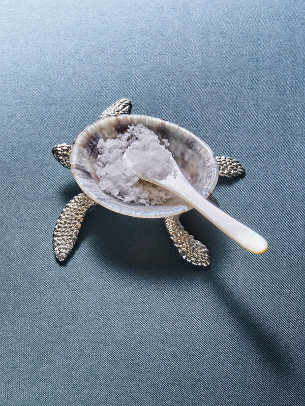 Objet Luxe - Sea Turtle Silver-Plated and Shell Salt Dish with Mother-of-Pearl Spoon - Silver - ABASK