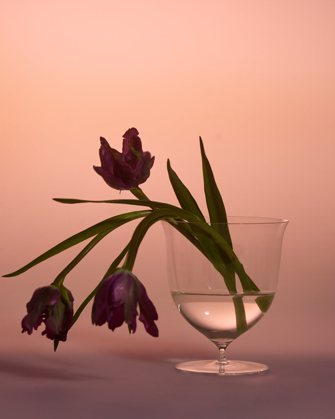 Lobmeyr - Josef Hoffmann Patrician Hand-Blown Crystal Vase (5.5in/14.5cm) - Clear - ABASK