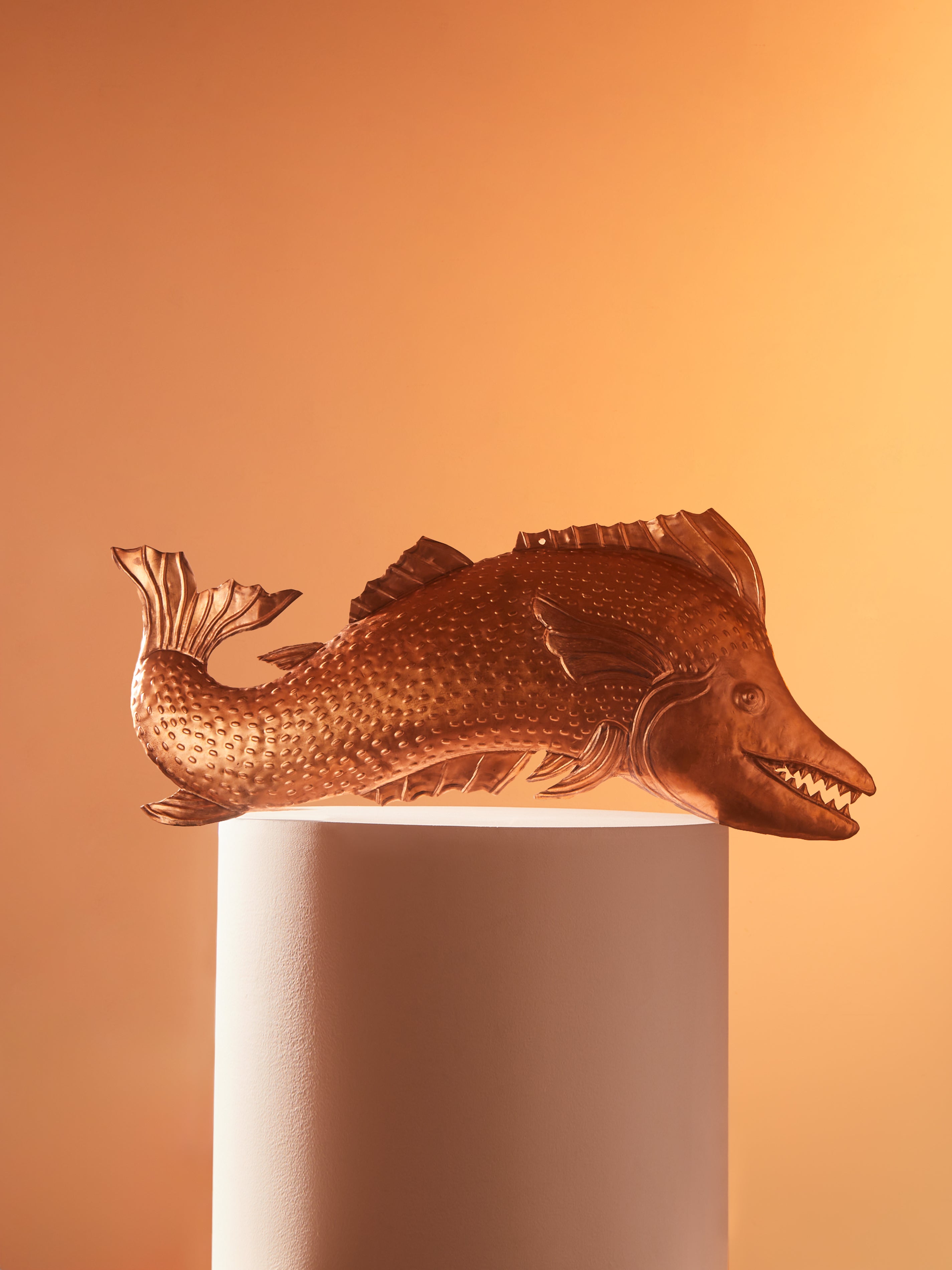 Dopper Fish Metallics 19th-Century Copper Fish by Antique and Vintage | ABASK