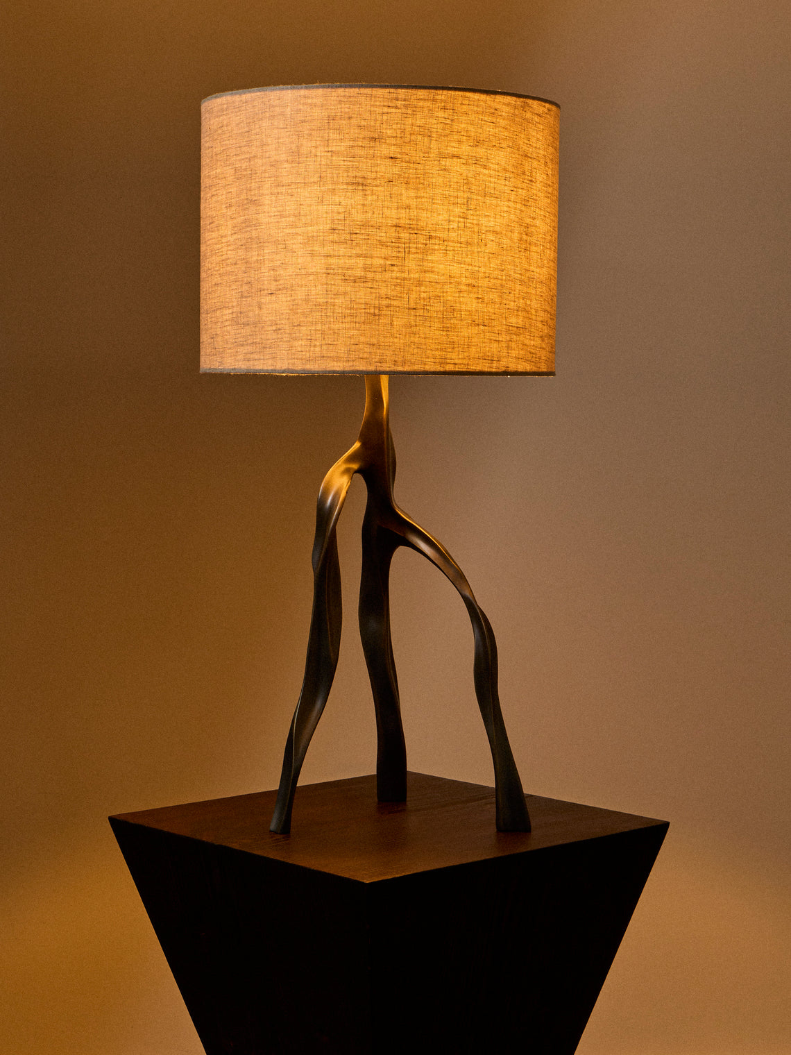 Viya - Under the Banyan Brass Table Lamp - Black - ABASK