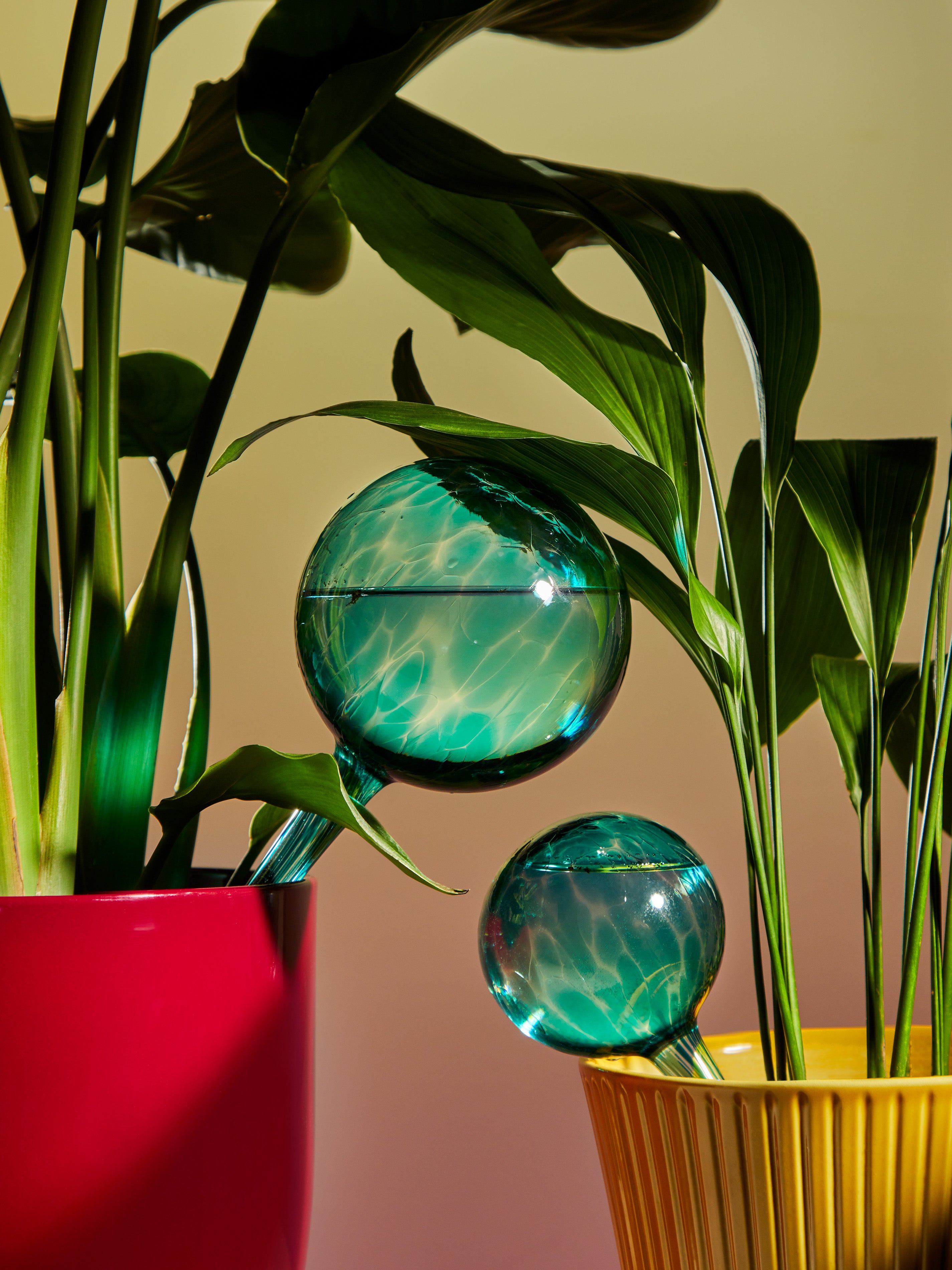 Using Diffusing Globes Blue Hand-Blown Crystal Water-Diffusing Globes (Set of 2) by Dab'O | ABASK