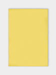 Denis Colomb - Cashmere and Silk Throw (79in/2m) - Yellow - ABASK - 