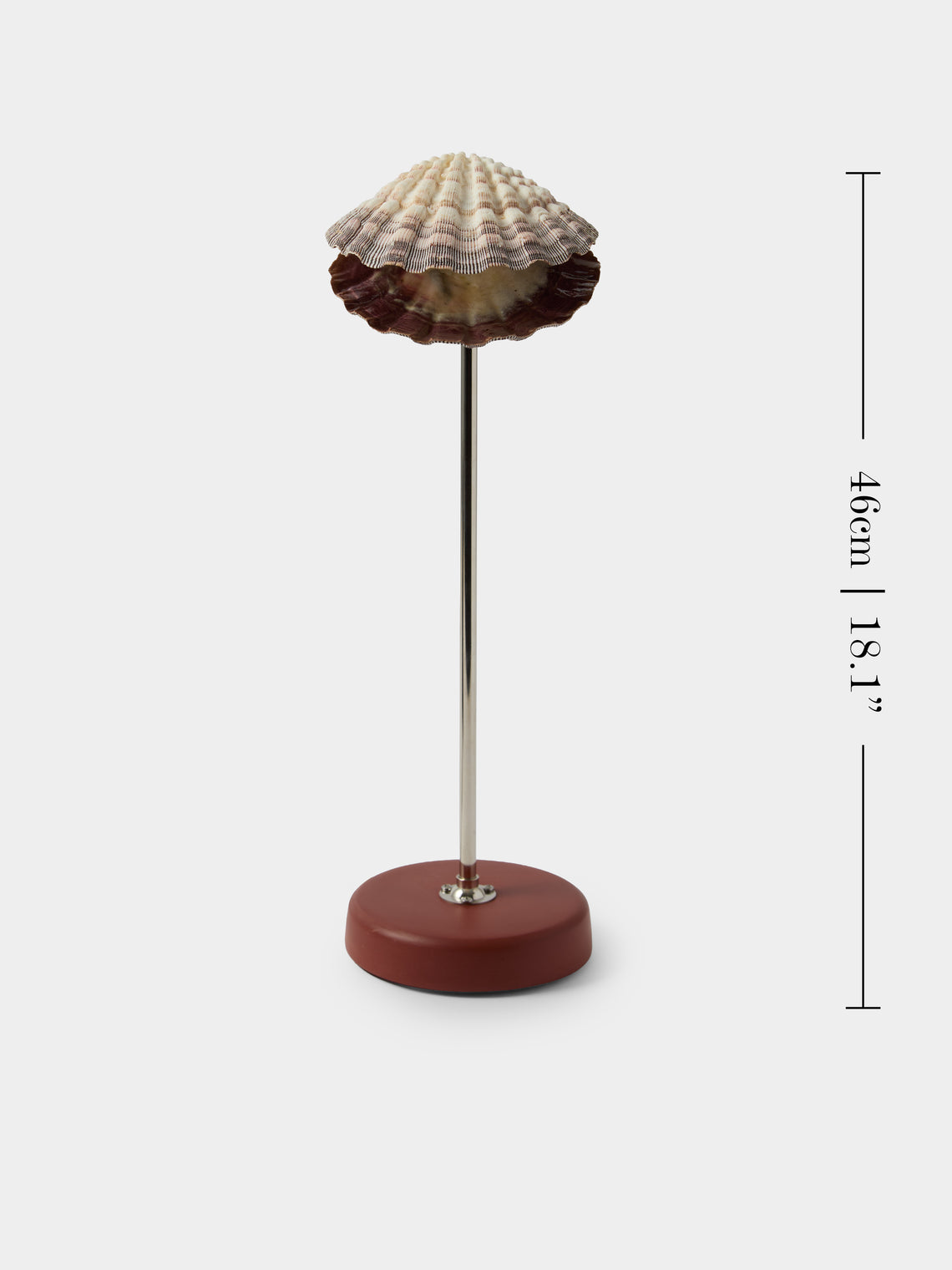 Tennant New York - Lavender Lion's Paw and Shell Table Lamp - Multiple - ABASK