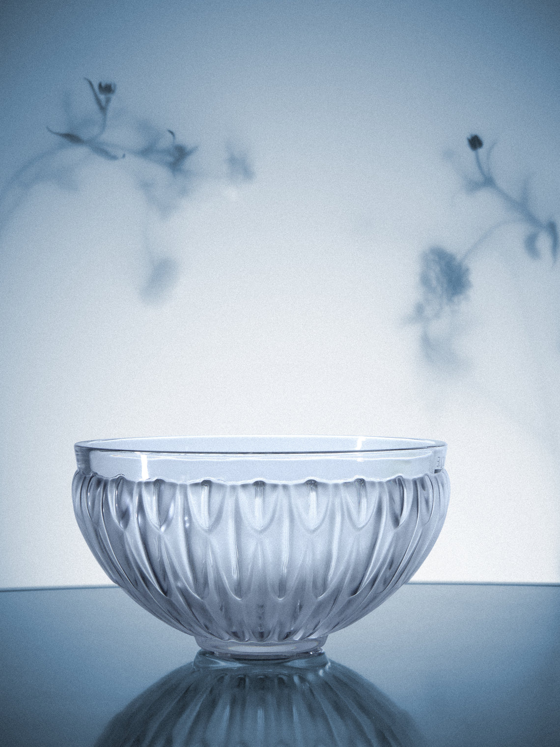 Lalique - Plumes Crystal Bowl - Clear - ABASK