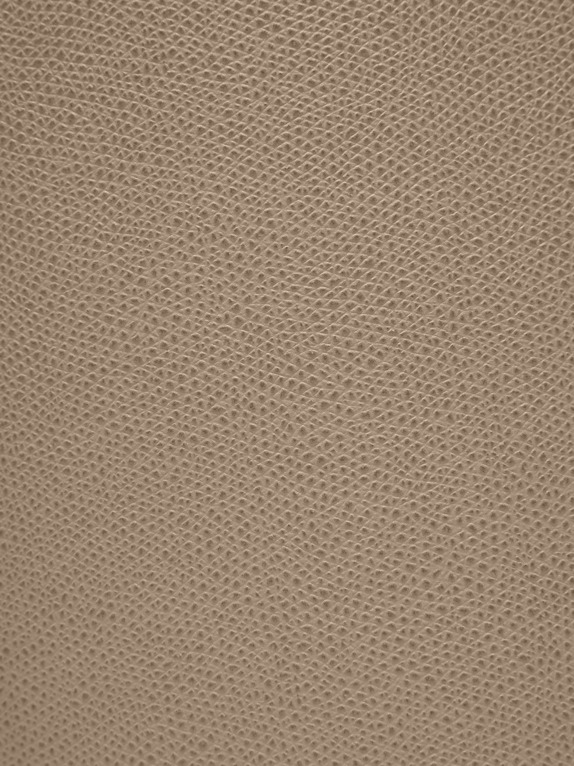 Giobagnara - Otto Leather Bin - Taupe - ABASK