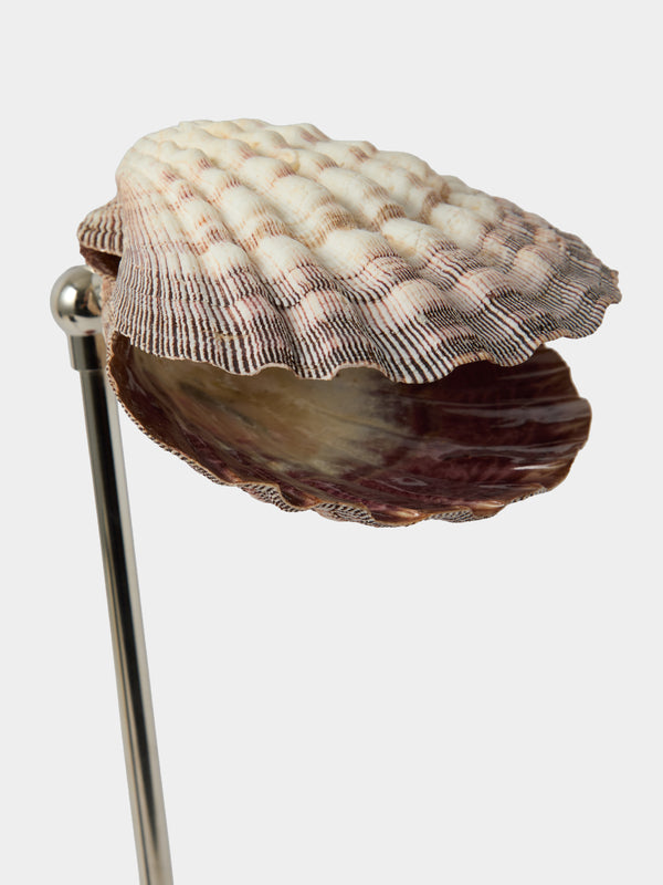 Tennant New York - Lavender Lion's Paw and Shell Table Lamp - Multiple - ABASK