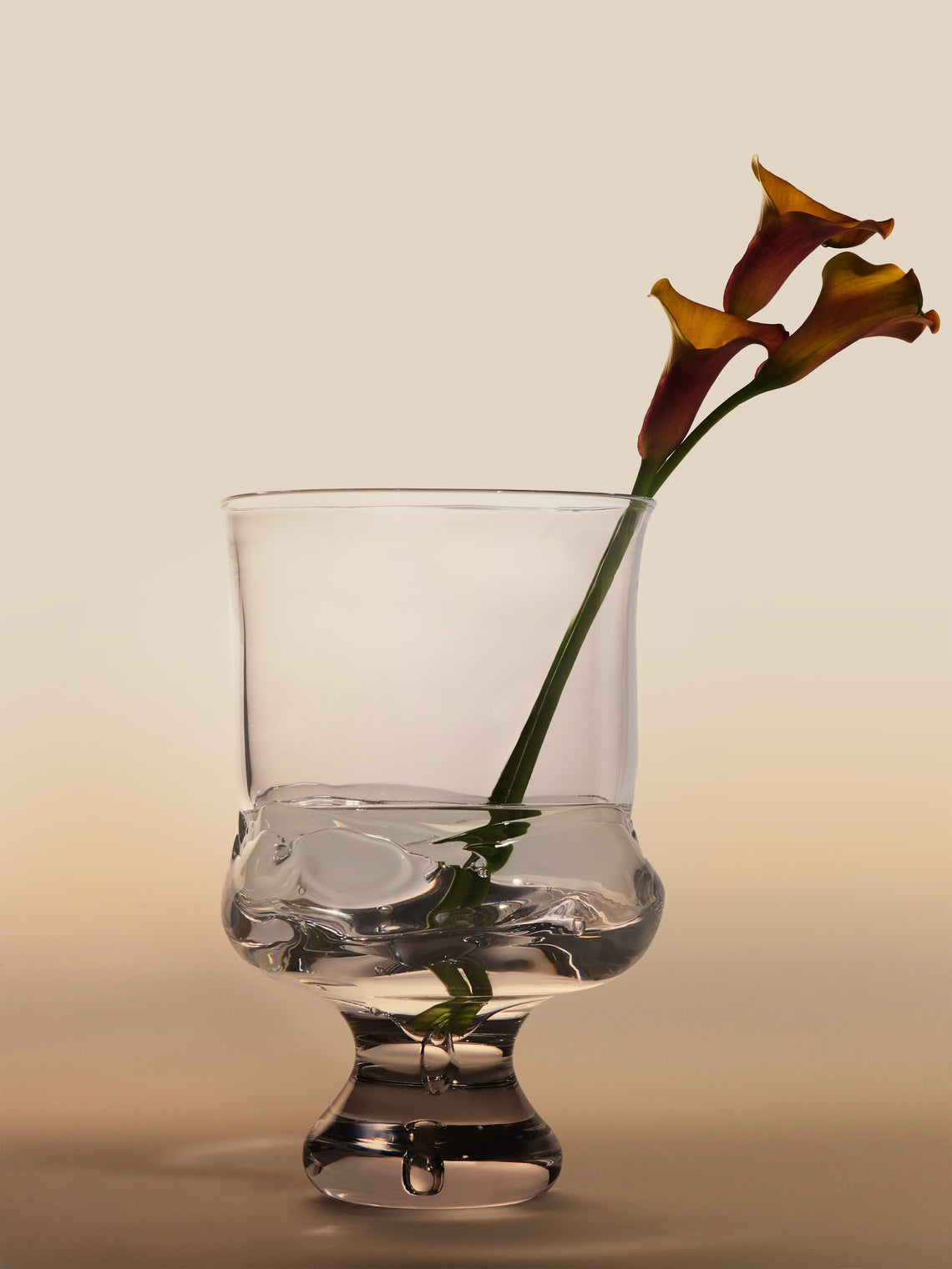 Szklo - Hand-Blown Glass Footed Vase (12in/31cm) - Clear - ABASK