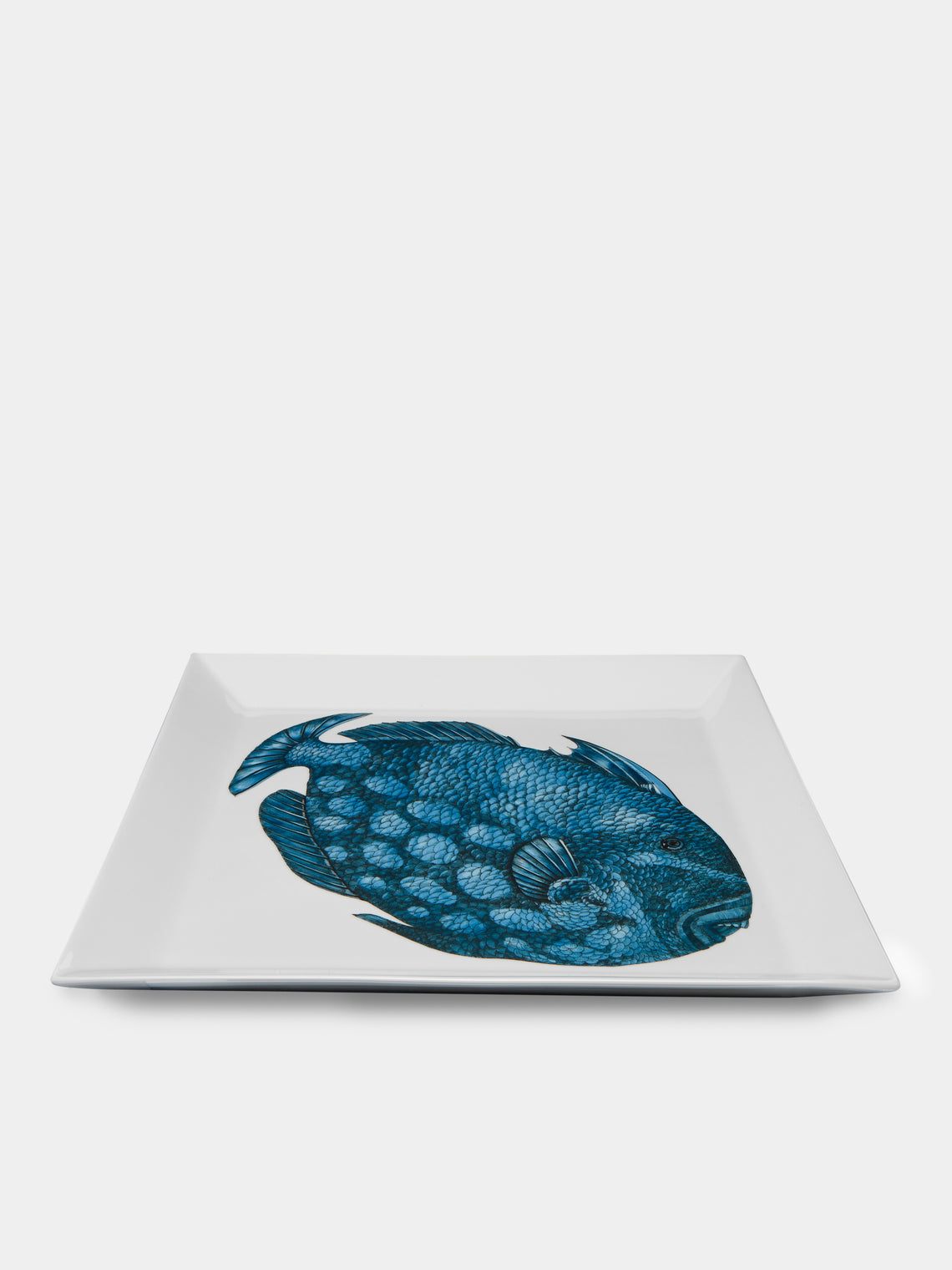 Fornasetti - Pesce Balestra Porcelain Tray - Blue - ABASK