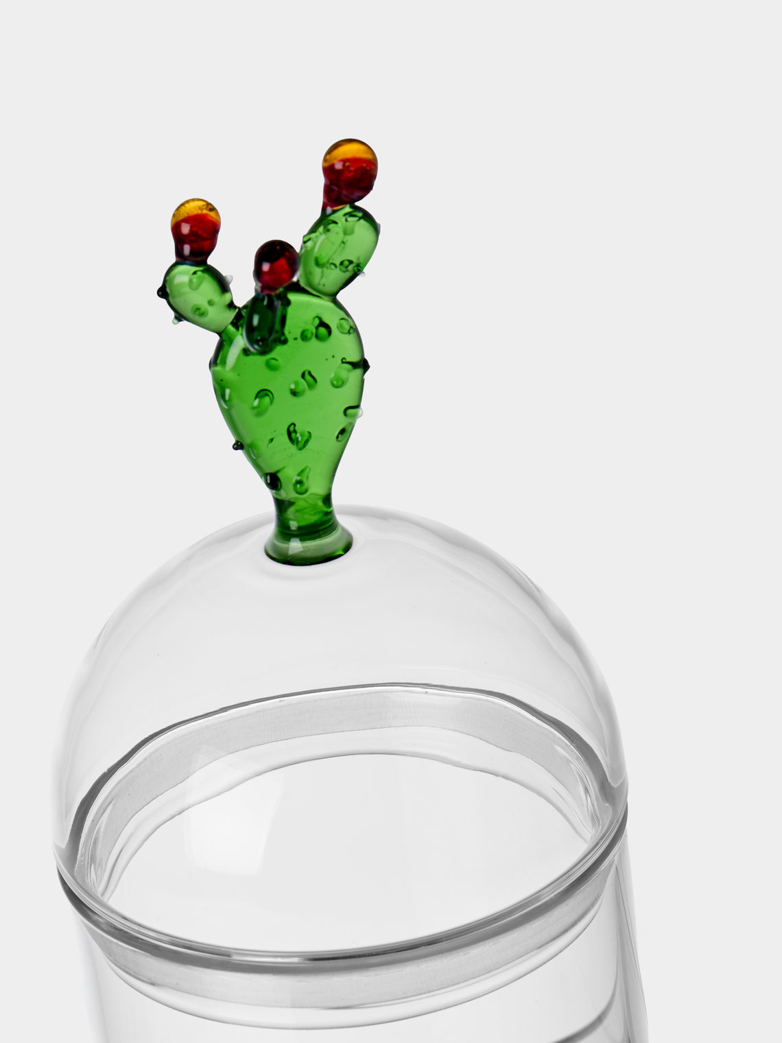 Casarialto - Cactus Hand-Blown Glass Jar - Green - ABASK