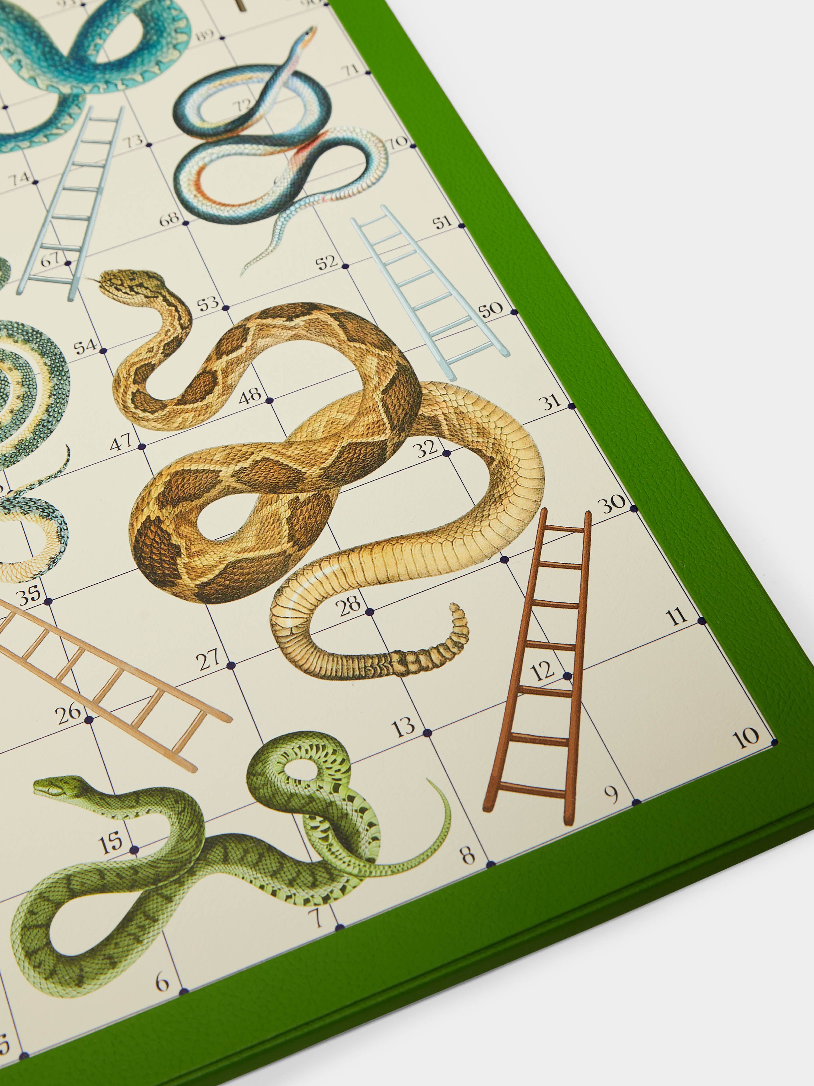 Green Leather Snakes & Ladders and Ludo Games Compendium by William ...