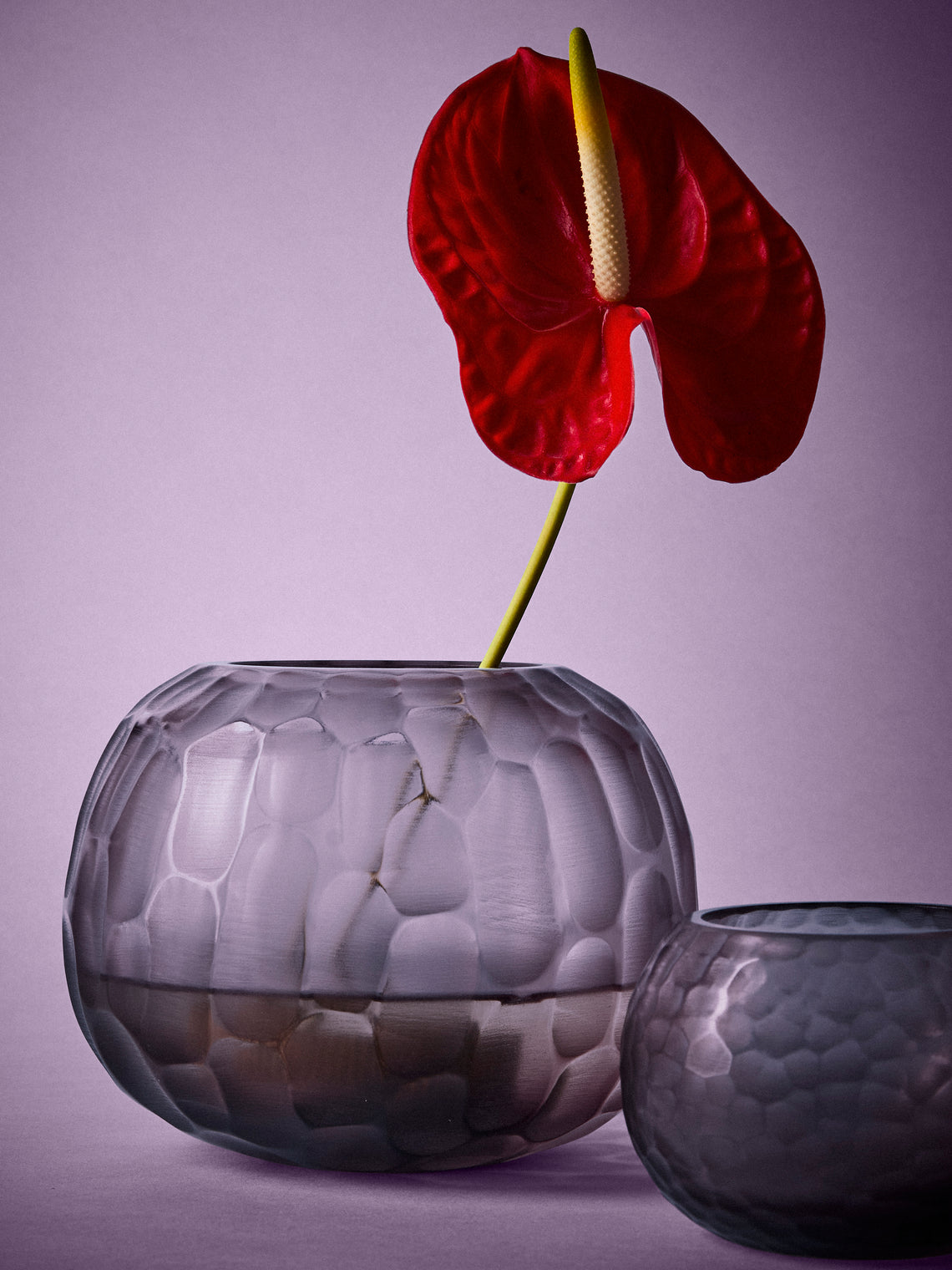 Micheluzzi Glass - Riccio Ametista Bamboo Hand-Blown Murano Glass Vase (6.5in/16.5cm) - Purple - ABASK