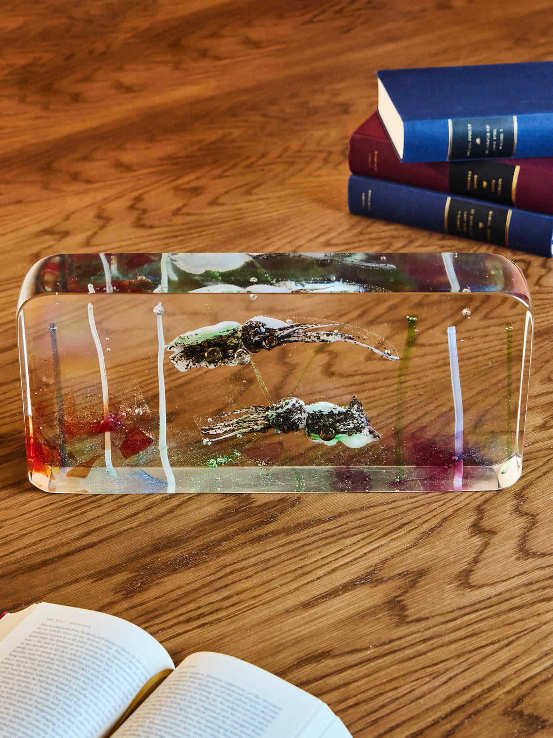 Antique and Vintage - 1950s Aquarium Murano Glass Paperweight - Clear - ABASK