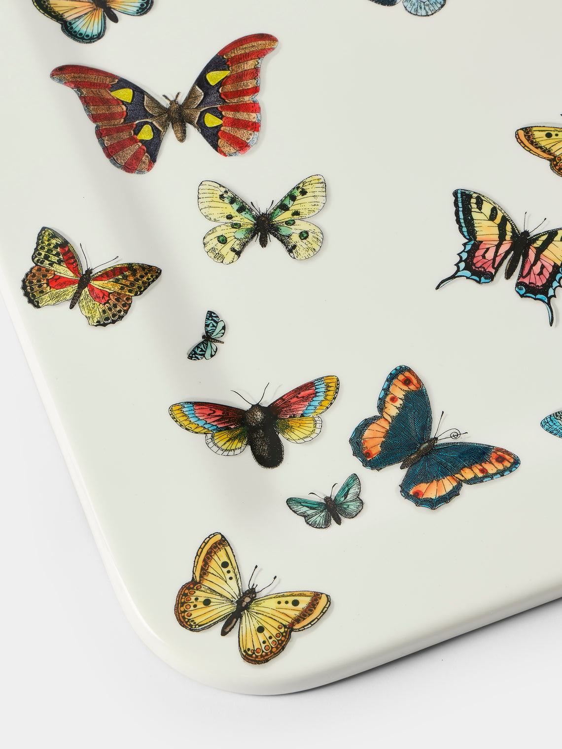 Fornasetti - Farfalle Wood Tray (23.5in/60cm) - Multiple - ABASK