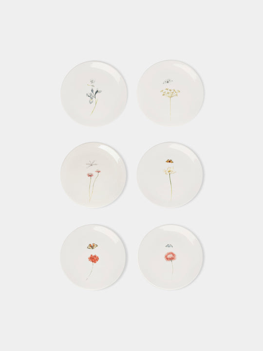 Multiple Serpi Ceramic Dinner Plates (Set of 6) by Laboratorio ...