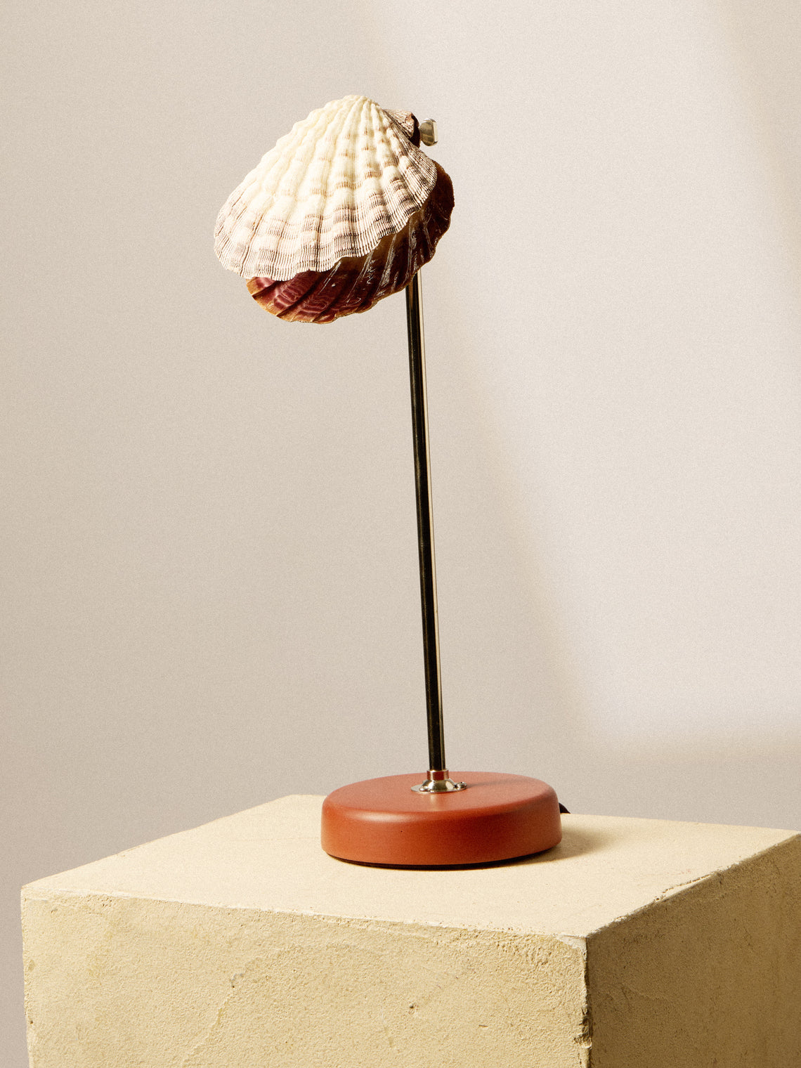 Tennant New York - Lavender Lion's Paw and Shell Table Lamp - Multiple - ABASK