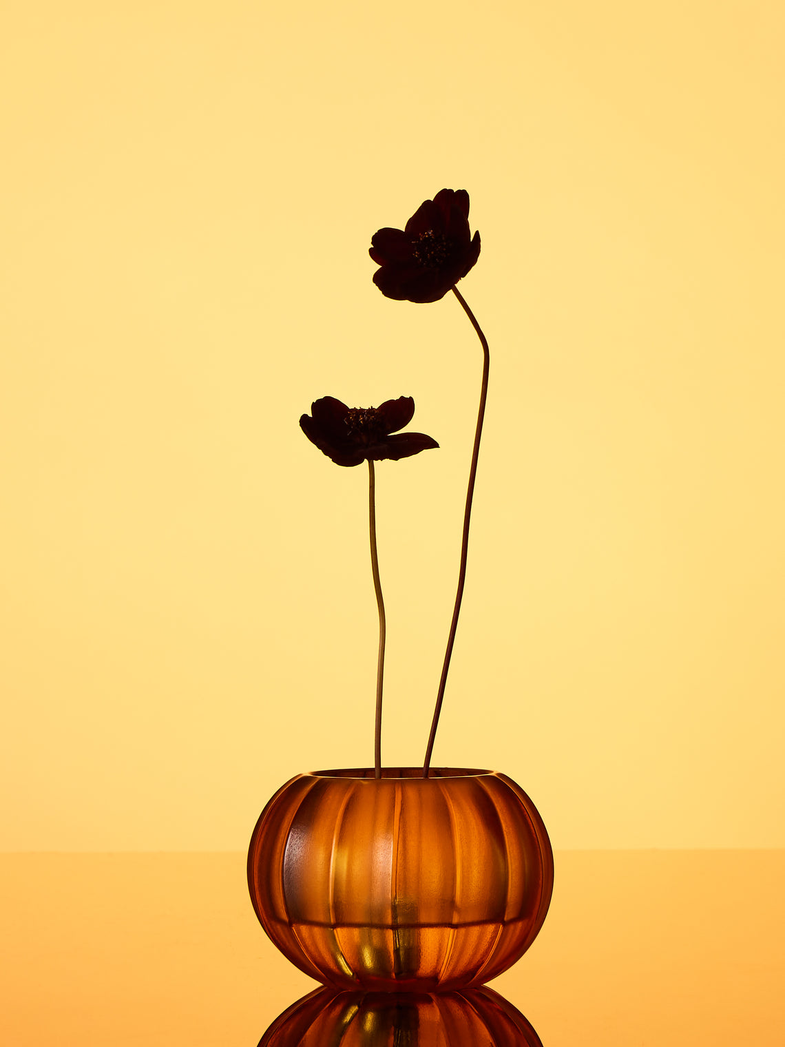 Micheluzzi Glass - Bocia Miele Coste Hand-Blown Murano Glass Vase (4.5in/11cm) - Yellow - ABASK