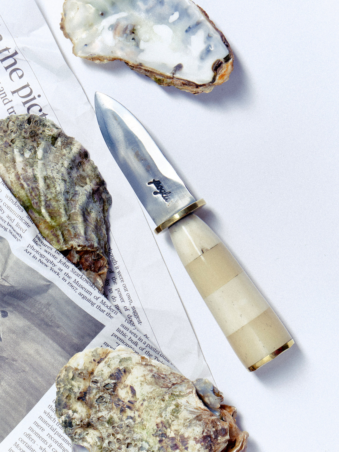 Poglia - Bone and Brass Oyster Knife - Cream - ABASK