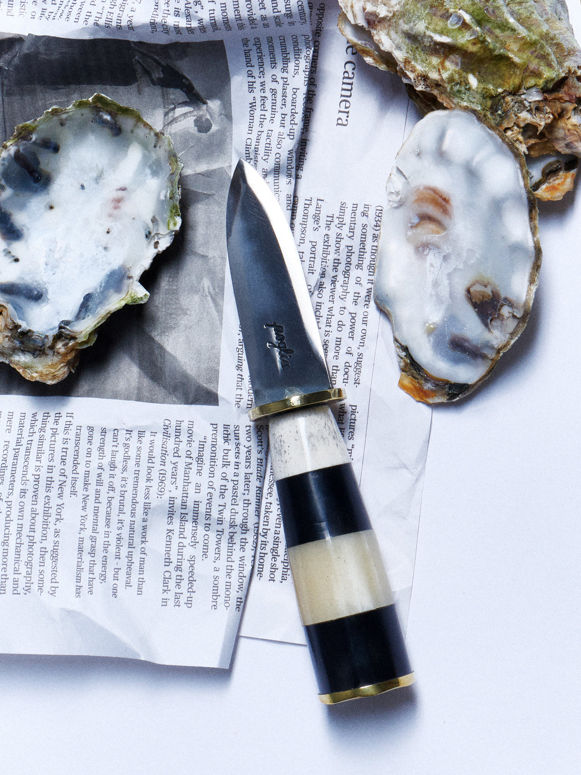 Poglia - Horn, Bone and Brass Oyster Knife - Multiple - ABASK