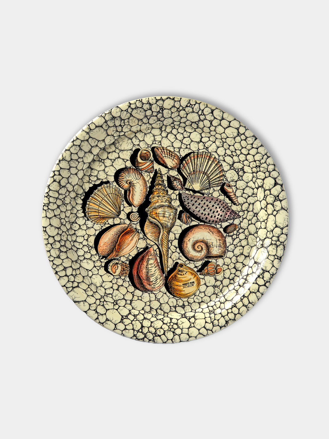 Fornasetti - Conchiglie e Ciottoli Wood Round Tray - Ivory - ABASK - 