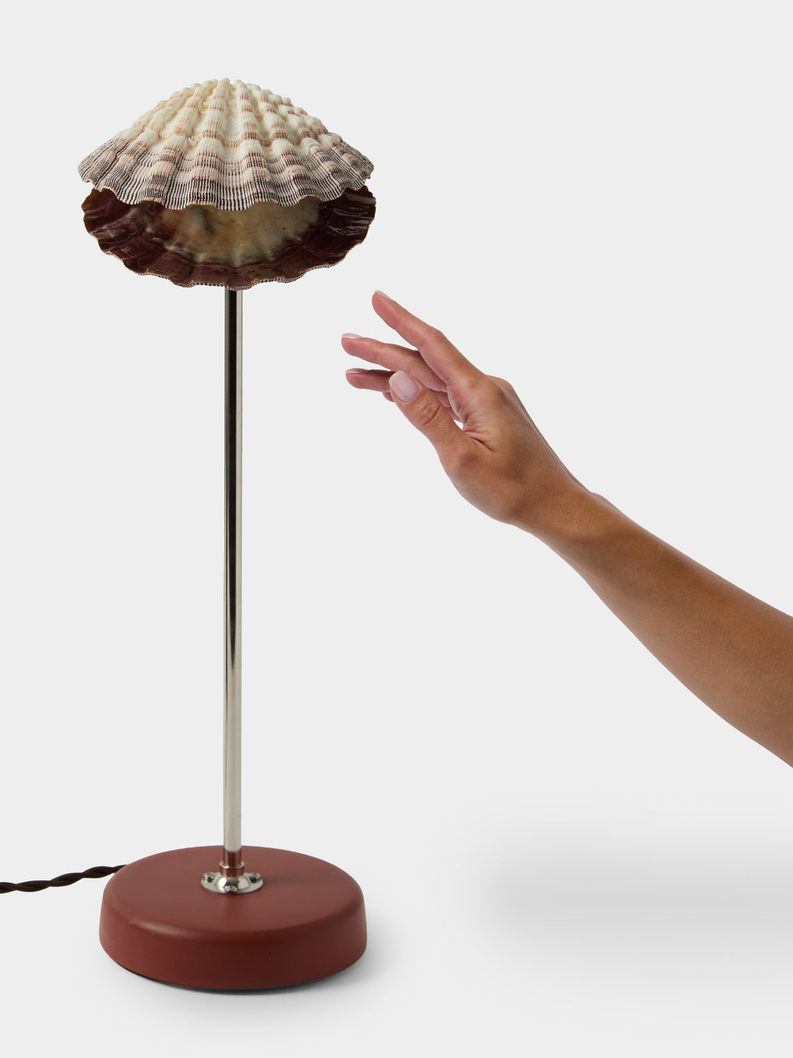Tennant New York - Lavender Lion's Paw and Shell Table Lamp - Multiple - ABASK