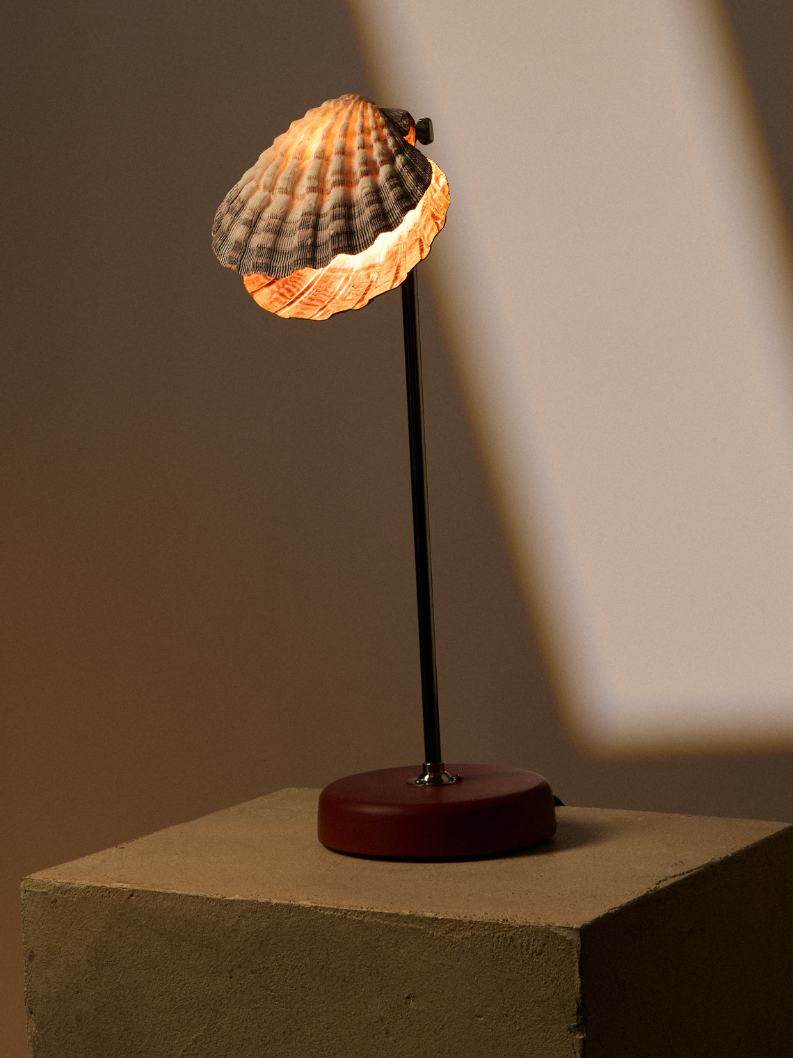 Tennant New York - Lavender Lion's Paw and Shell Table Lamp - Multiple - ABASK