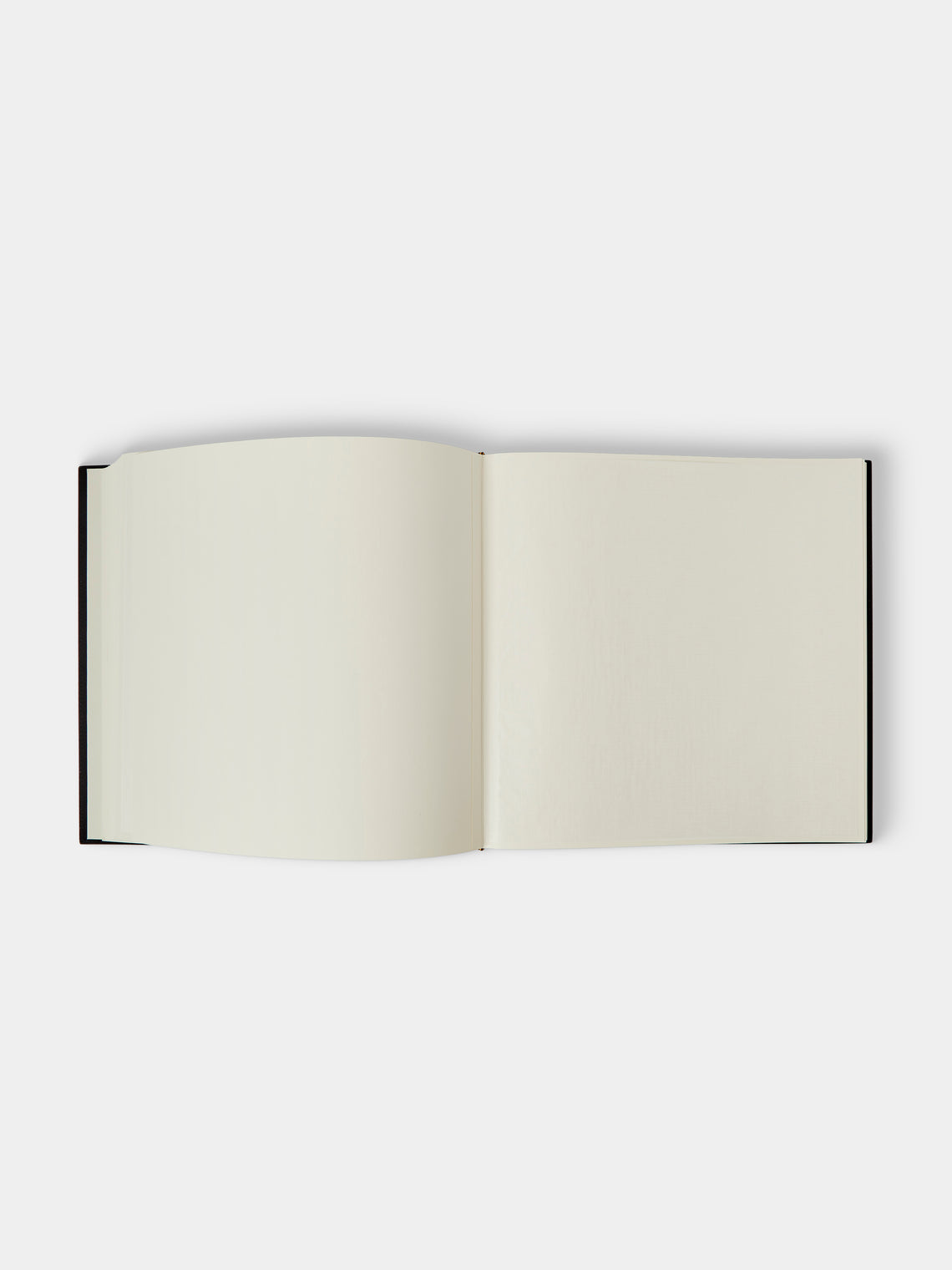 Giobagnara - Leather Photo Album - Light Gray - ABASK