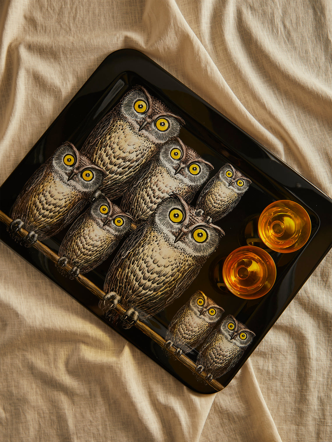 Fornasetti - Civette Iron Tray - Black - ABASK