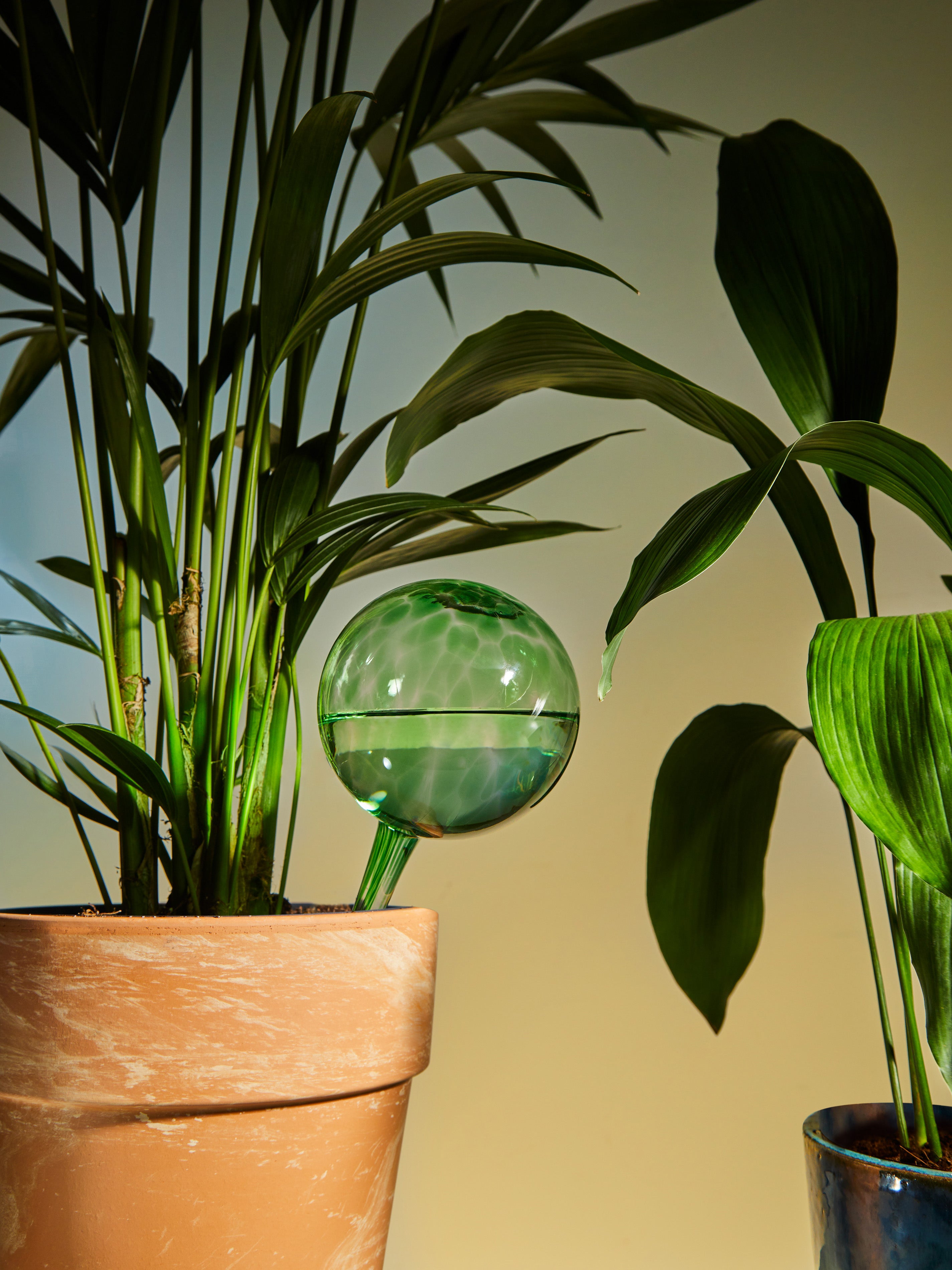 Using Diffusing Globes Green Hand-Blown Crystal Water-Diffusing Globes (Set of 2) by Dab'O | ABASK