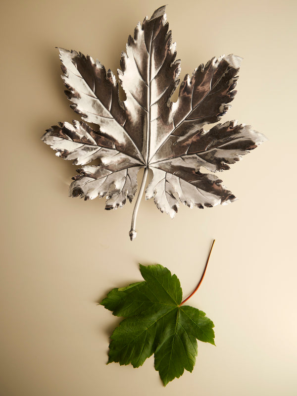 Antique and Vintage - 1970s Buccellati Solid Silver Maple Leaf - Silver - ABASK