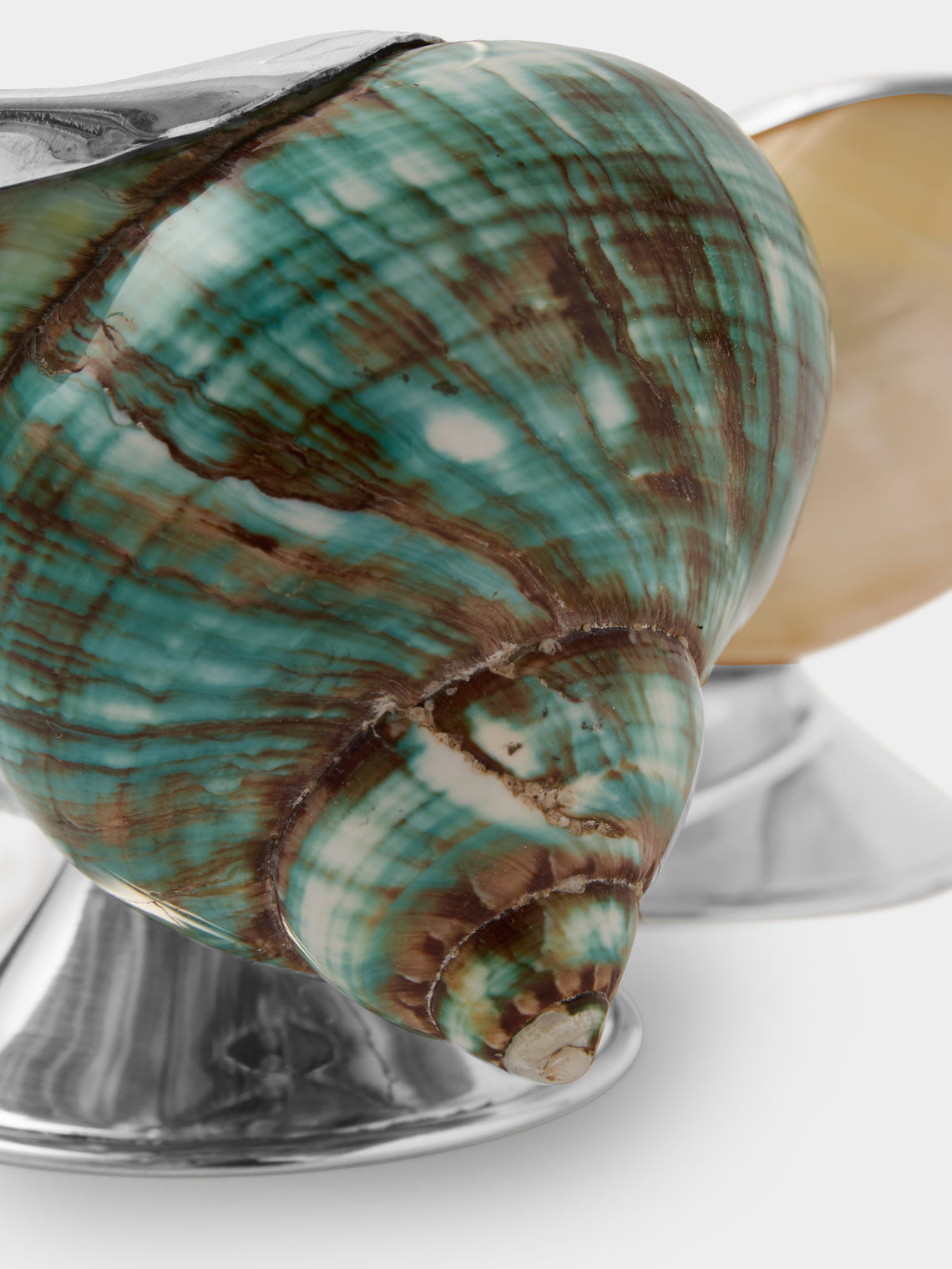 Tavares 1922 - Silver and Shell Salt and Pepper Cellar - Multiple - ABASK