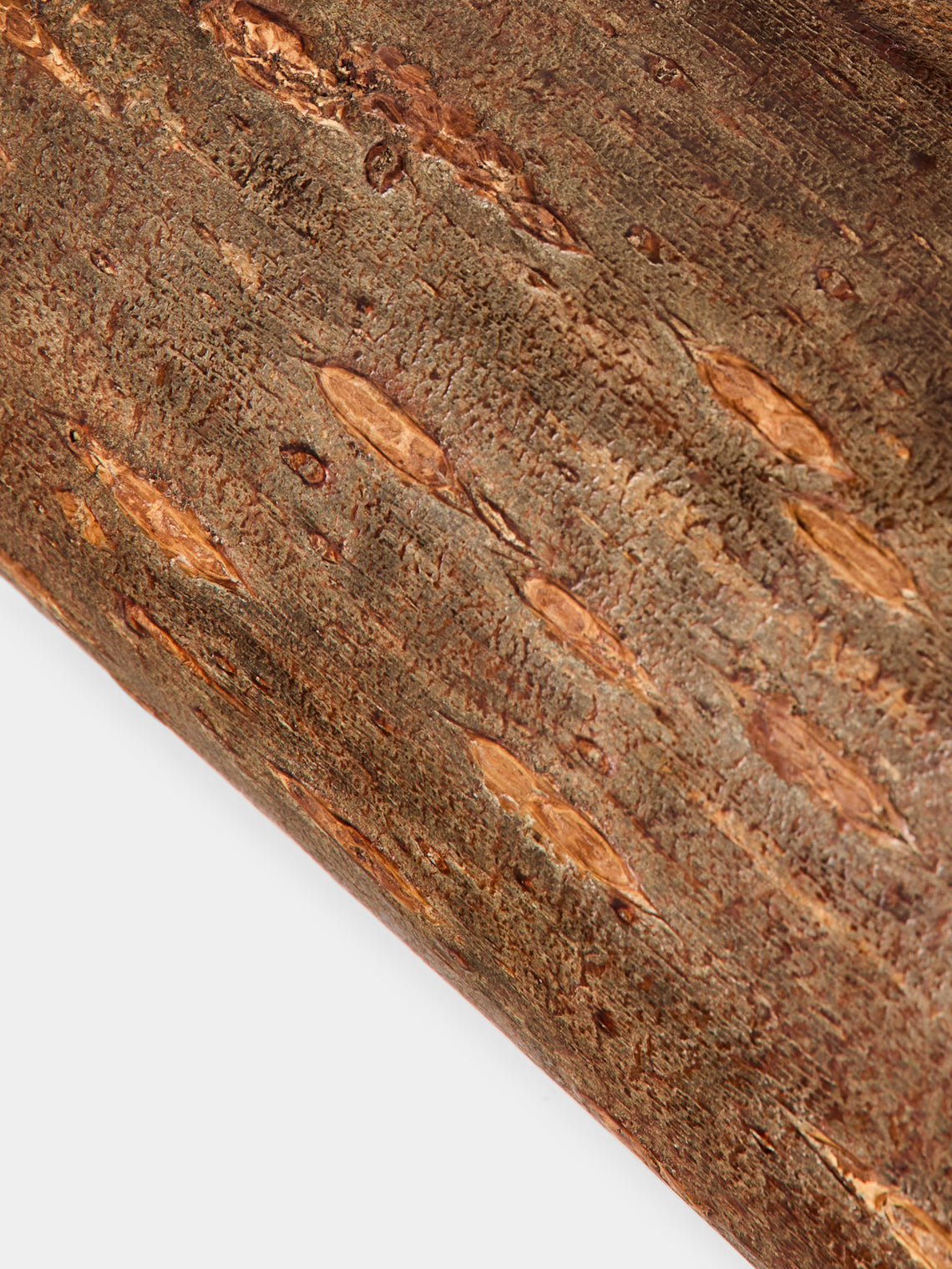 Denshiro - Polished Cherry Bark Canister - Brown - ABASK