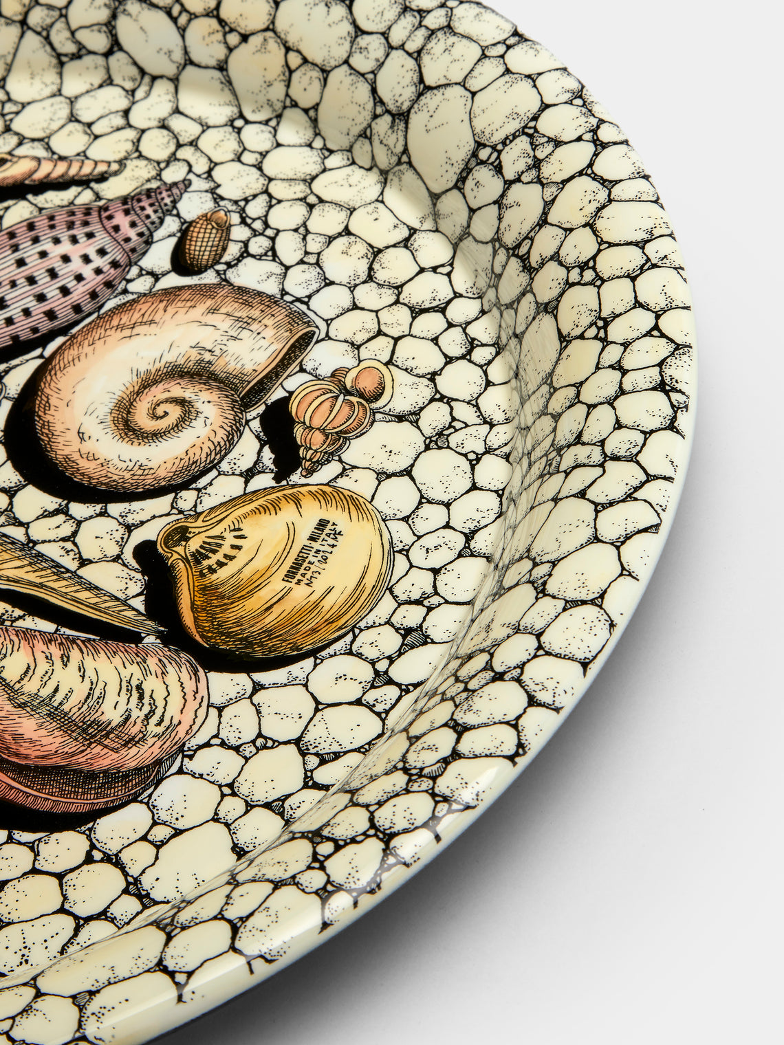 Fornasetti - Conchiglie e Ciottoli Wood Round Tray - Ivory - ABASK