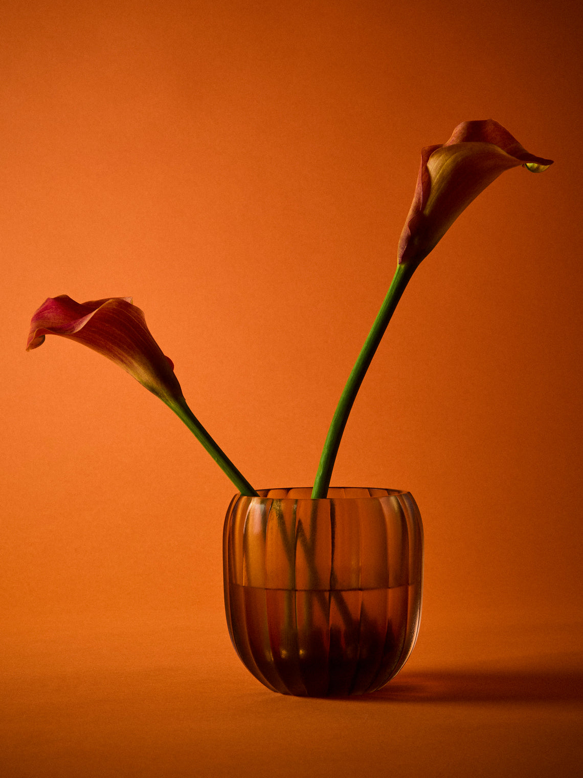Micheluzzi Glass - Rullo Miele Coste Hand-Blown Murano Glass Vase (4.5in/11.5cm) - Orange - ABASK