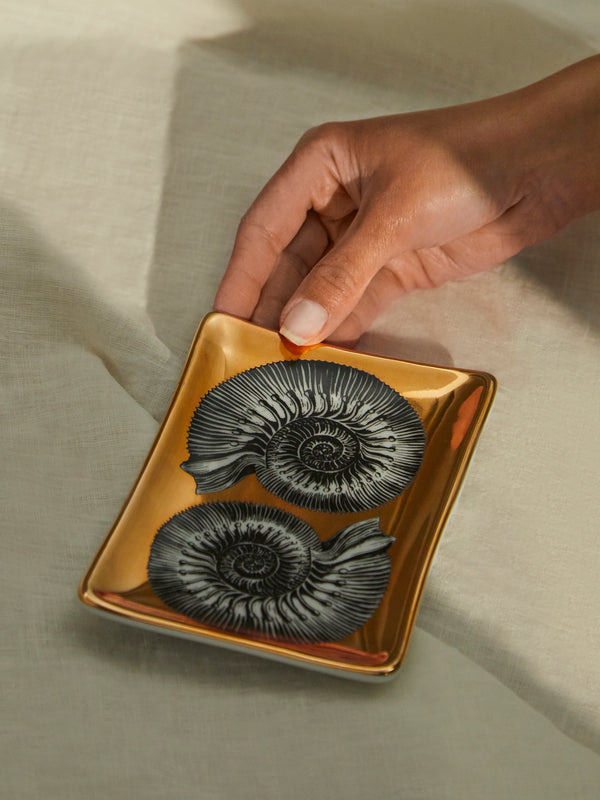 Fornasetti - Giro di Conchiglie Hand-Painted Porcelain Ashtray -  - ABASK