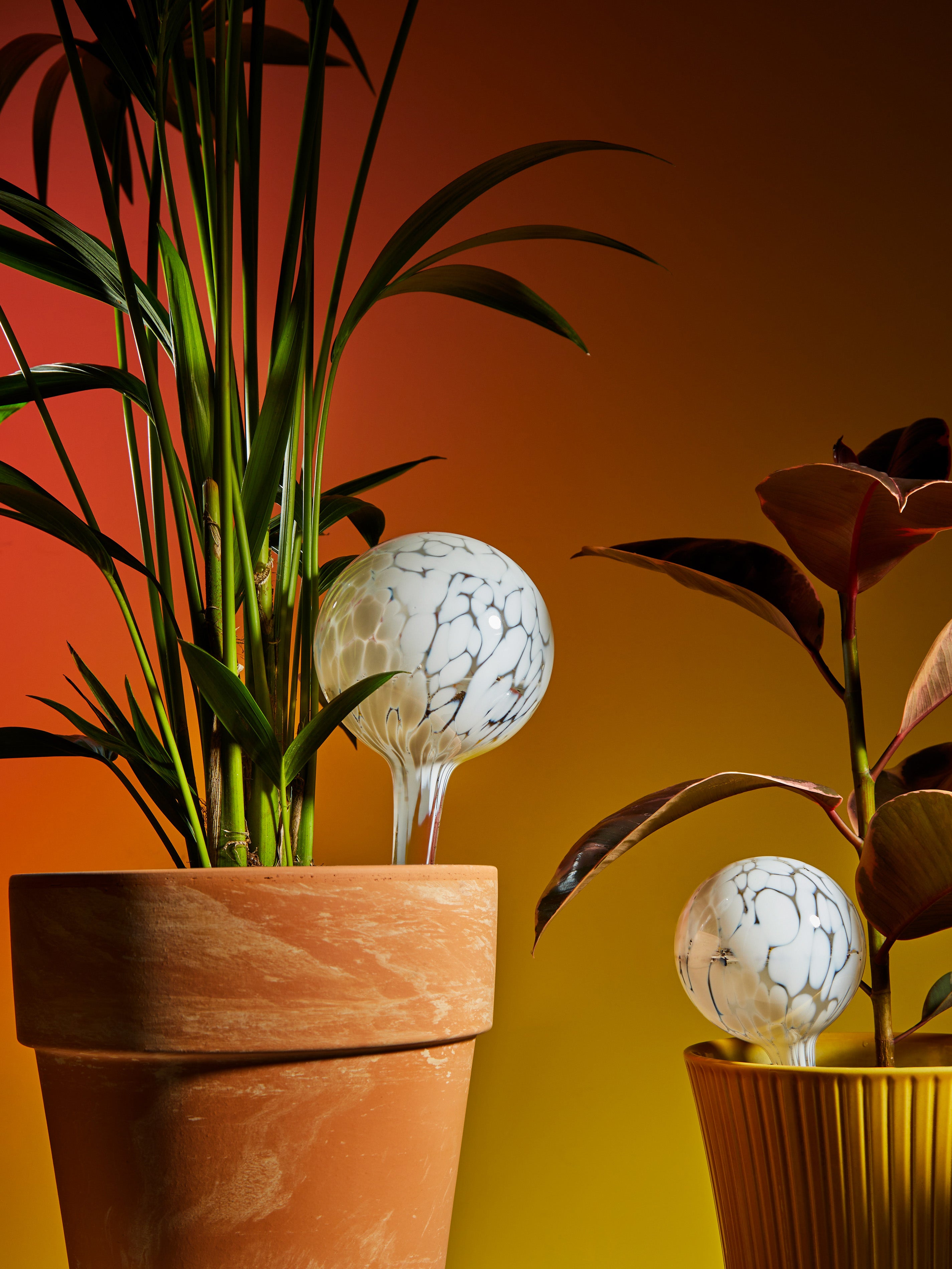 Green Hand-Blown Crystal Water-Diffusing Globes (Set of 2) by Dab'O ...