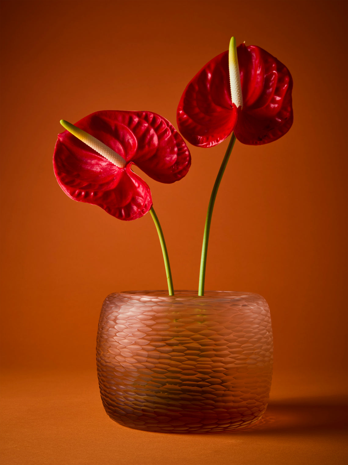Micheluzzi Glass - Pozzo Rose Semette Hand-Blown Murano Glass Vase (6.5in/17cm) - Orange - ABASK