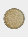 Jaune de Chrome - Basmati Bubble Porcelain Plate -  - ABASK - 