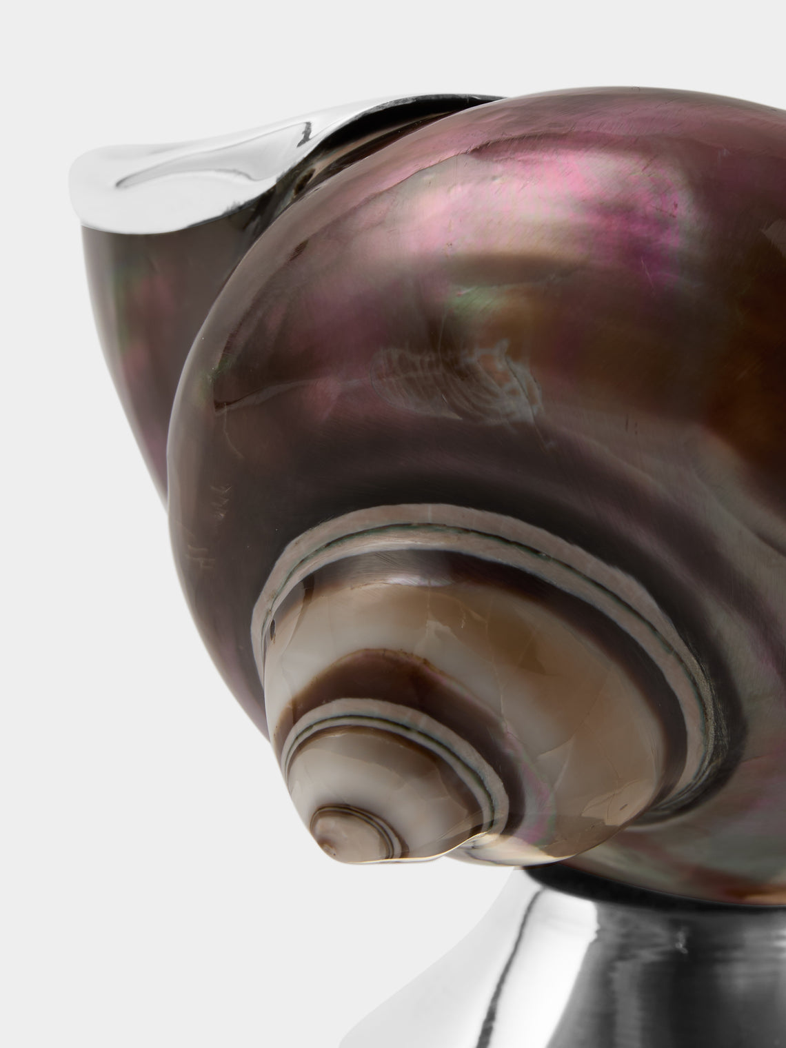Tavares 1922 - Imperialis 1790 Silver and Shell Sugar Bowl - Silver - ABASK